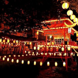 はじめてのライブ【最終回】