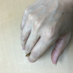 楽器博物館行ってきましたので楽器の話を⑤