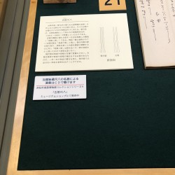 １万人の頂点