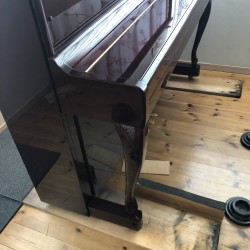 ポワンポワンクラブ活動報告